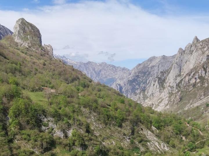 La Casina De Tielve De Cabrales Dentro Del Parque Nacional Picos De Europaヴィラ エクステリア 写真