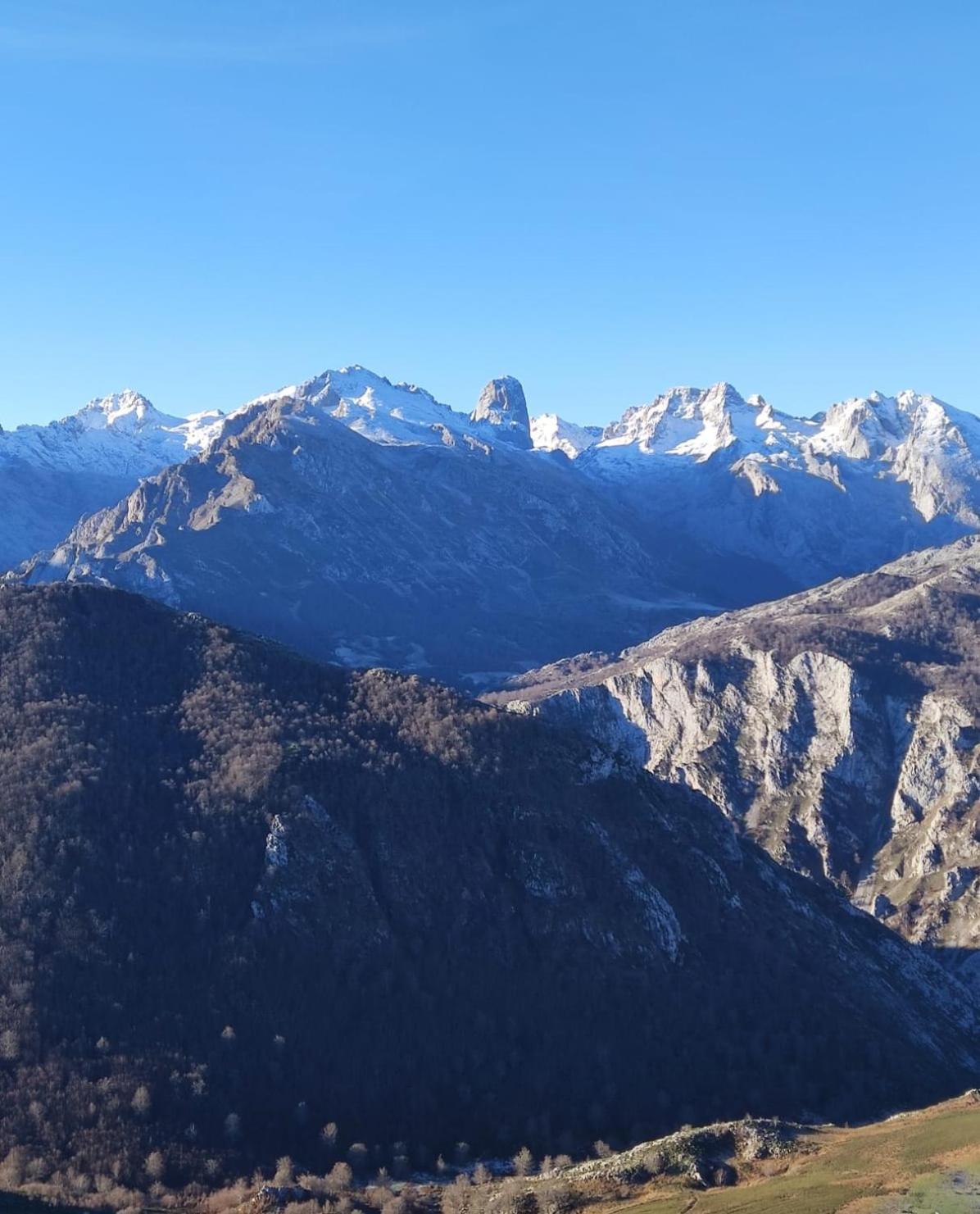La Casina De Tielve De Cabrales Dentro Del Parque Nacional Picos De Europaヴィラ エクステリア 写真