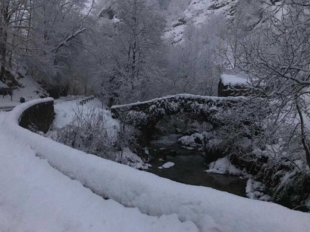 La Casina De Tielve De Cabrales Dentro Del Parque Nacional Picos De Europaヴィラ エクステリア 写真