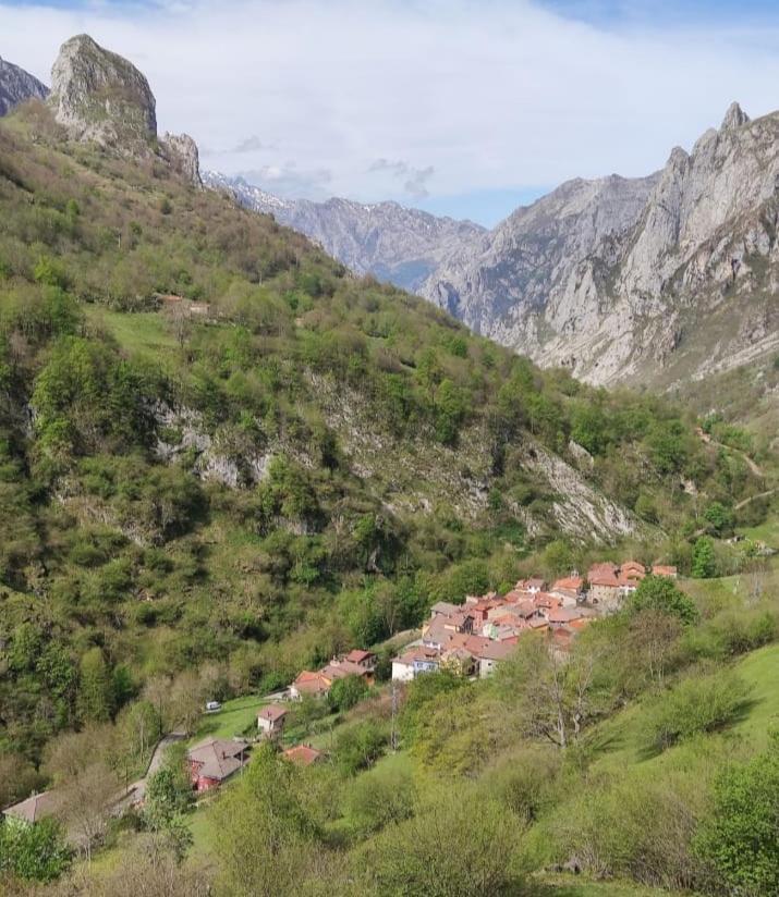 La Casina De Tielve De Cabrales Dentro Del Parque Nacional Picos De Europaヴィラ エクステリア 写真